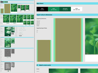 App Design Assets app design guideline process