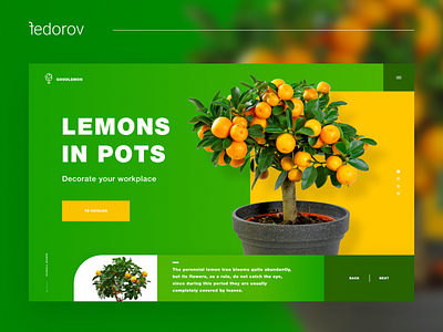 LEMONS IN POTS | FEDOROV DESIGN