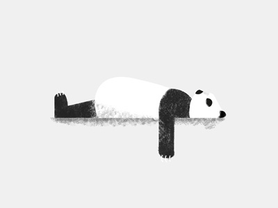 Earth Day reminder animals bear earth day fat illustration panda
