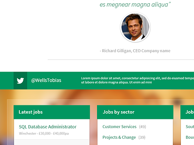 Wells Tobias - Website Redesign design homepage photoshop recruitment tobias website wells