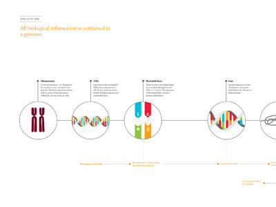 The Future of Genomics, Spread biology dna genomics icons