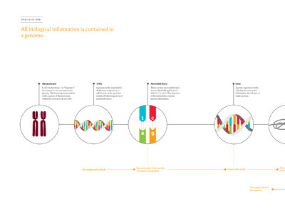 The Future of Genomics, Spread