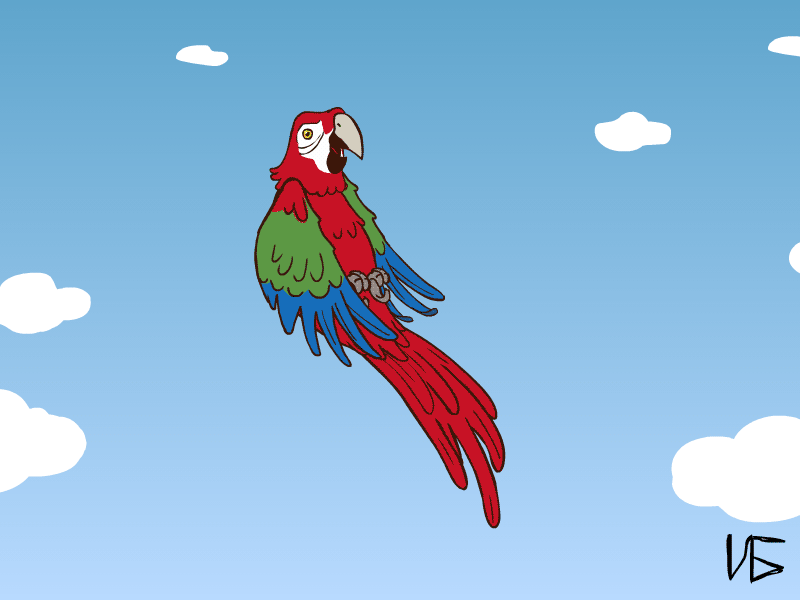 Pet Area - Parrot loop animation