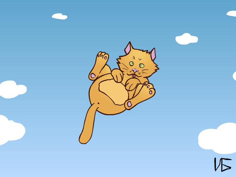 Pet Area - Cat loop animation
