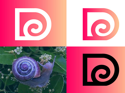 D Letter logo branding d logo icon illustration lettering logodesign modern type typography vector wordmark