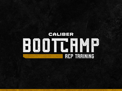Caliber Rep Bootcamp brand branding caliber marketing caliber smart design dznlabs logo logos typography