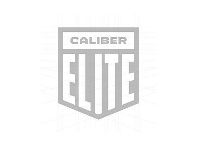 Caliber Elite Branding 2020 brand branding caliber marketing caliber media design logo typography