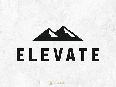 Elevate Logo brand branding design dznlabs logo