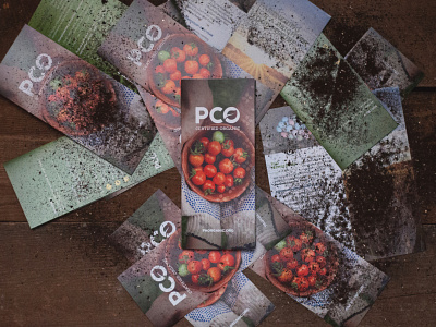 PCO Certified Organic Brochure branding brochure design identity design photoshoot print design