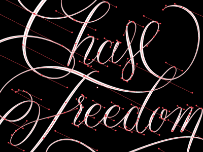 Chase Freedom - Anchors all in a row anchors calligraphy illustrator lettering type vector