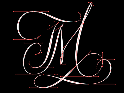 TM Initials calligraphy illustrator lettering type typography vectors