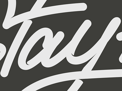 Stay Fly bezier design illustrator lettering logo script type vector
