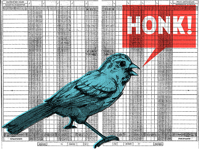 Honk! america bird honk! illustration sparrow