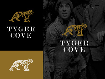 Tyger Cove branding keith moon logo tiger