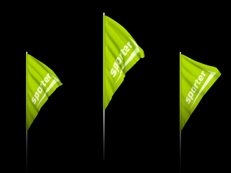 Sporter Flag Animation 3d cinema 4d clean dark flag green logo moldova octane render sport wind