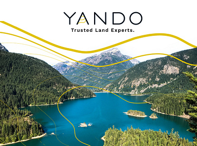 YANDO Logo and Branding branding design graphic design logo typography website design