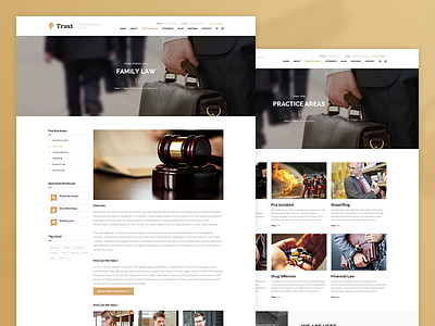 Trust - Lawyer & Attorney Business Theme Practice