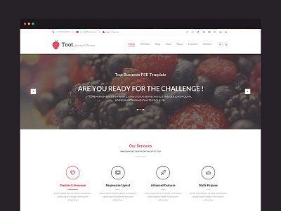 Toot – Multi-purpose Business WP Theme