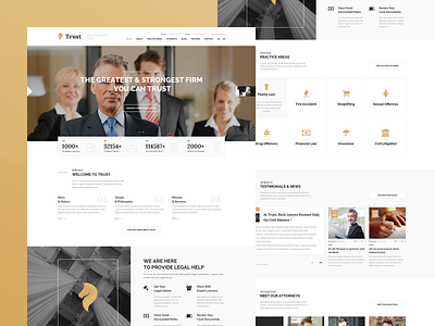 Trust - Lawyer WordPress Theme