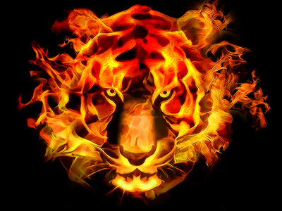 Fire Tiger animal art fire flame head tiger