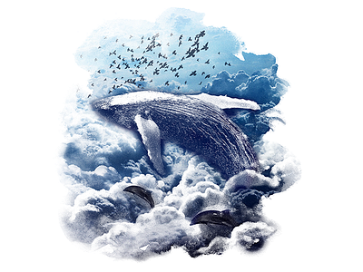 Whale Fly 04b bird cloud dolphin fly freedom sky whale