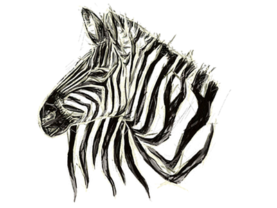 Zebra art animal art head line paint zebra