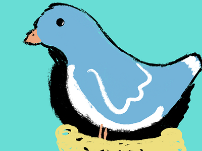 Cool Lil’ Pigeon art brush illustration illustrator paint procreate