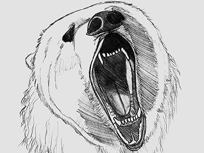 Bear Portrait bear charcoal drawing mouth sketch teeth wip