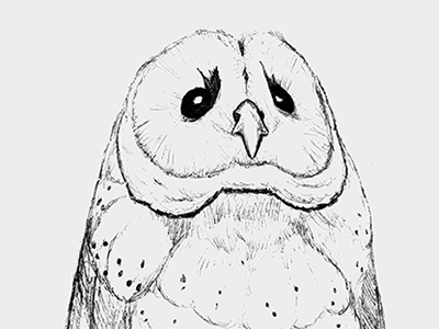 Owl Portrait Drib