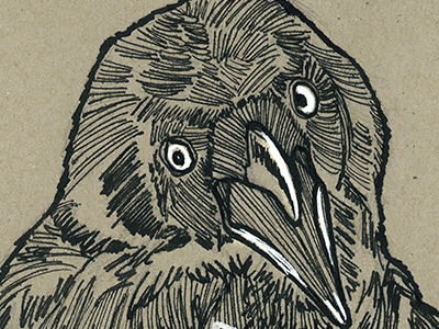 Nevermore art bird drawing hand lettering illustration ink painting poetry raven sketch toned paper typography