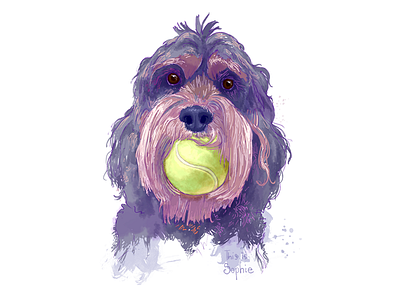 Sophie - WIP design dog illustration painting pet portrait tennis tshirt violet