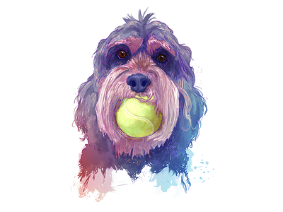 Sophie - Final colorful dog drawing illustration painting pet portrait tennis watercolor