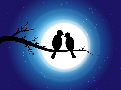 Night Sky Vector illustration