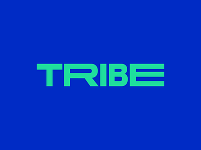 Tribe brand identity branding logo minimal typography