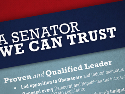 Senate Campaign Handout handout postcard print senate