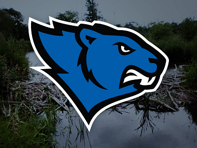 Beavers beaver logo sports logo