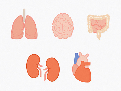 Insides body body parts brain heart icons illustration intestine kidney lungs organs