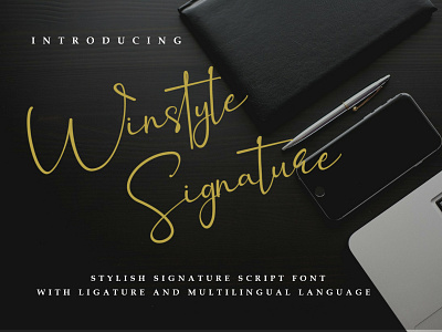 Winstyle Signature branding design font handwriten font logotype monoline font script font script lettering signature font typography