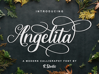 Angelita branding calligraphy font design font handwriten font logotype monoline font script font script lettering signature font typography