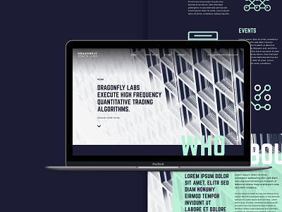 Dragonfly Labs Website design agency branding design graphic design type typography ui ux web website