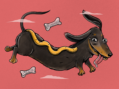 Dachshund