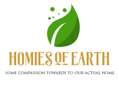 Homies of Earth Logo Concept branding concept logo typography