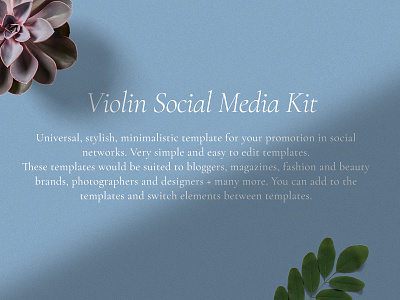 Project details blog fashion insta instagram magazine music shop social media kit store style ui ux violin