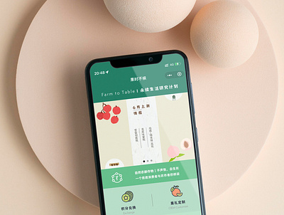 Farm to Table - The Fruits Shopping Application app design ui ux