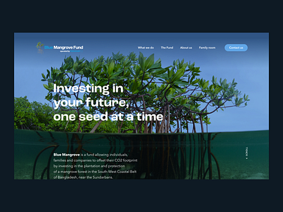 Blue mangrove Fund — Homepage 01 carbon carbon footprint layout sustainability typogaphy ui ux water webdesign