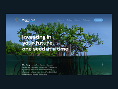 Blue mangrove Fund — Homepage 01