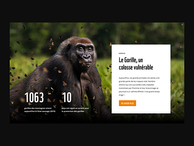 WWF Belgium — Website 001