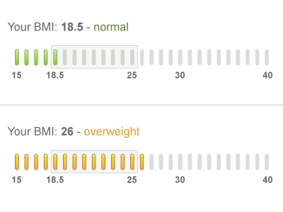 BMI Chart bmi bmi chart chart fireworks fitness graph infographic log vector weight chart