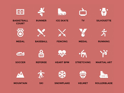 80 Sport Vector Icons