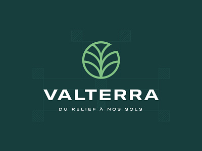 Valterra logo branding logo logo design